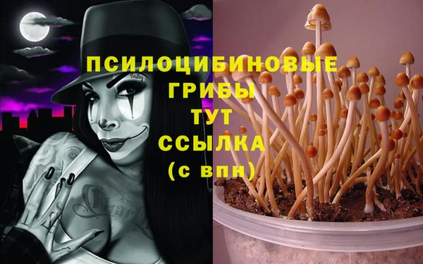 винт Балахна