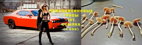 винт Балахна