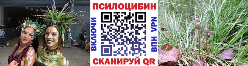 наркота  Нижняя Тура  Псилоцибиновые грибы Psilocybe 